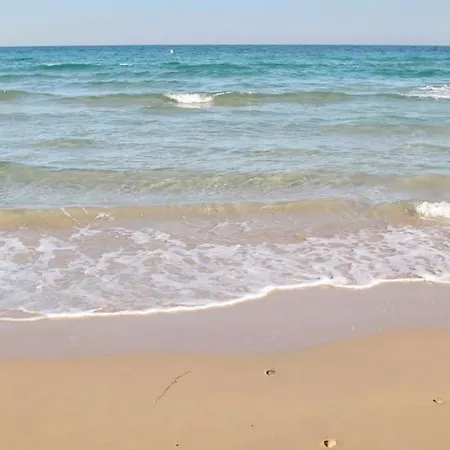 Casa Olivia With Pool Heating Fee Holiday home Torrevieja